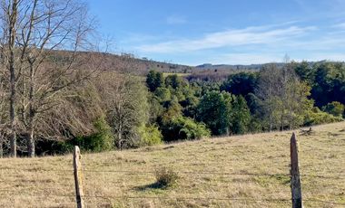 Campo en venta en Fresia - Santa María - 30 hectáreas