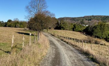 Campo en venta en Fresia - Santa María - 30 hectáreas
