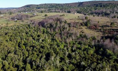 Campo en venta en Fresia - Santa María - 30 hectáreas