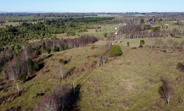 Campo en venta en Fresia - Santa María - 30 hectáreas