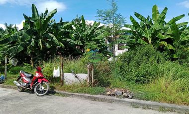 Residential Lot for sale inside Pocket Subdivision in Liloan!