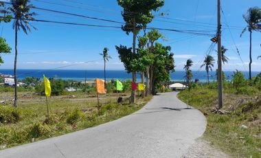 For Sale Beach Houses / Villas in Located in Danao City, Cebu!