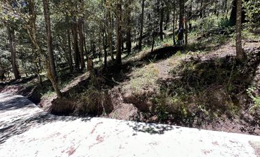 Invierte con Sentido: Naturaleza, Rentabilidad y Bienestar en un Solo Lugar