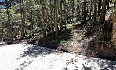 Invierte con Sentido: Naturaleza, Rentabilidad y Bienestar en un Solo Lugar