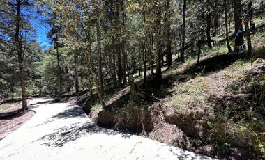 Invierte con Sentido: Naturaleza, Rentabilidad y Bienestar en un Solo Lugar