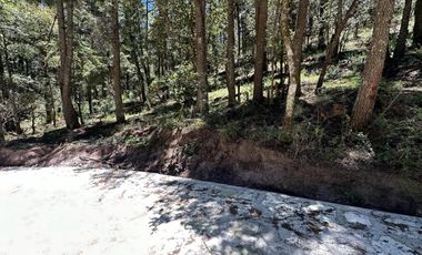 Invierte con Sentido: Naturaleza, Rentabilidad y Bienestar en un Solo Lugar