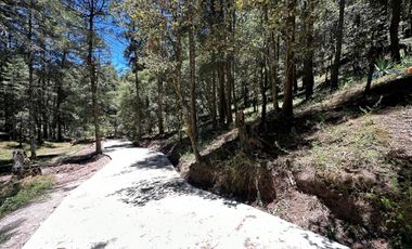 Invierte con Sentido: Naturaleza, Rentabilidad y Bienestar en un Solo Lugar