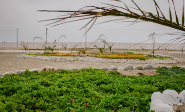 OPORTUNIDAD LIMITADA: VENTA DE TERRENO EN CONDOMINIO MIRADOR AZUL - PLAYA LOBOS