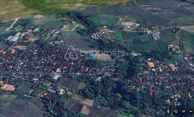 Prime Investment Opportunity, 912 Sqm Land in Munggu