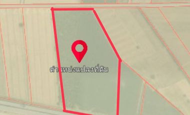 Land for sale in Chachoengsao, Phanom Sarakham, area 43-0-50 Rai, Koh Khanun, next to Road 304, Chachoengsao-Kabinburi. near Route 331