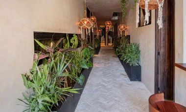 Estudio ubicado en el centro de Tulum