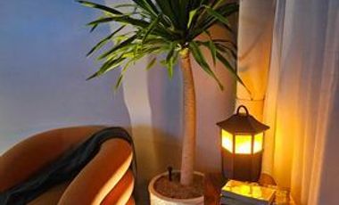For Rent Studio Unit in The Reef Mactan,Lapu-Lapu City
