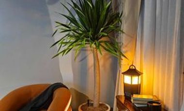 For Rent Studio Unit in The Reef Mactan,Lapu-Lapu City