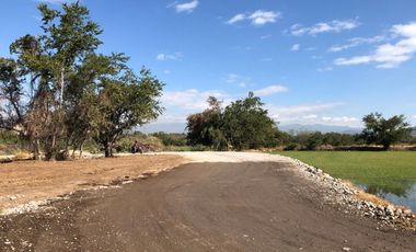 Terreno plano en VENTA, escriturado! Dos frentes ZONA CALIDA