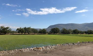 Terreno plano en VENTA, escriturado! Dos frentes ZONA CALIDA