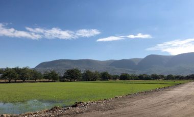 Terreno plano en VENTA, escriturado! Dos frentes ZONA CALIDA