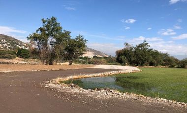 Terreno plano en VENTA, escriturado! Dos frentes ZONA CALIDA