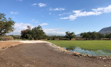 Terreno plano en VENTA, escriturado! Dos frentes ZONA CALIDA