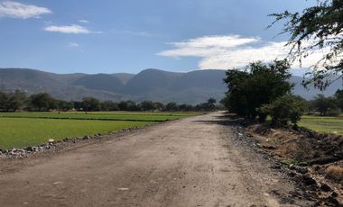 Terreno plano en VENTA, escriturado! Dos frentes ZONA CALIDA