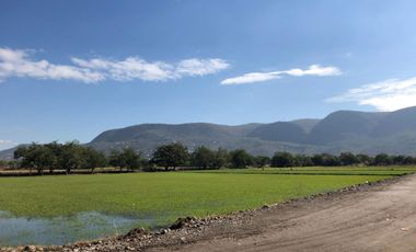Terreno plano en VENTA, escriturado! Dos frentes ZONA CALIDA