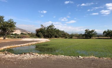 Terreno plano en VENTA, escriturado! Dos frentes ZONA CALIDA