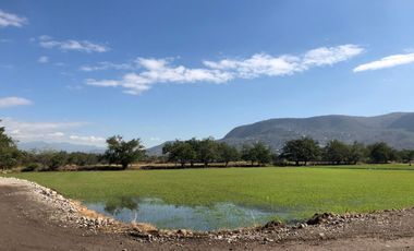 Terreno plano en VENTA, escriturado! Dos frentes ZONA CALIDA