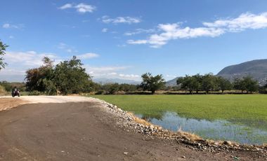 Terreno plano en VENTA, escriturado! Dos frentes ZONA CALIDA