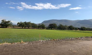 Terreno plano en VENTA, escriturado! Dos frentes ZONA CALIDA