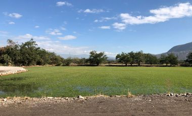 Terreno plano en VENTA, escriturado! Dos frentes ZONA CALIDA