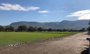 Terreno plano en VENTA, escriturado! Dos frentes ZONA CALIDA