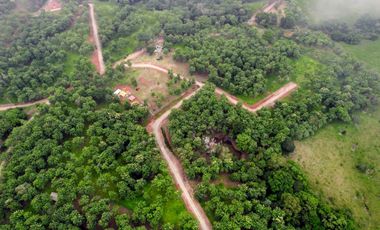 Finca06 Titulada con Tecas - FINANCIADAS 100%  SIN INTERES $500 Quincenal