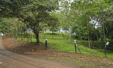 Finca06 Titulada con Tecas - FINANCIADAS 100%  SIN INTERES $500 Quincenal