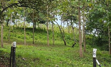 Finca06 Titulada con Tecas - FINANCIADAS 100%  SIN INTERES $500 Quincenal