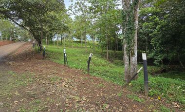 Finca06 Titulada con Tecas - FINANCIADAS 100%  SIN INTERES $500 Quincenal