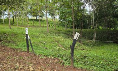 Finca06 Titulada con Tecas - FINANCIADAS 100%  SIN INTERES $500 Quincenal