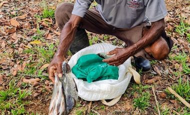 Finca06 Titulada con Tecas - FINANCIADAS 100%  SIN INTERES $500 Quincenal