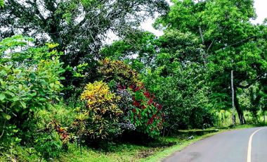 Finca06 Titulada con Tecas - FINANCIADAS 100%  SIN INTERES $500 Quincenal