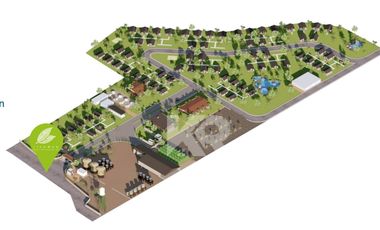 Paseo del Ron Ticuman es un centro turístico de producción de Ron ubicados en el municipio de Tlaltizapán, Morelos.