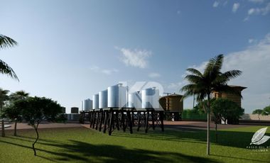 Paseo del Ron Ticuman es un centro turístico de producción de Ron ubicados en el municipio de Tlaltizapán, Morelos.
