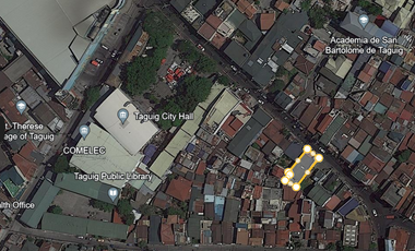 Commercial Lot with Improvements General Luna Street Tuktukan Taguig