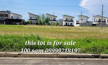 LOT FOR SALE IN STO.TOMAS BATANGAS