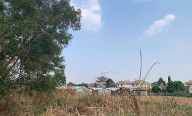 Land for sale in Sukhumvit 5 Soi 70 (Phasuk) Sai Mai