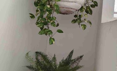 Arriendo apto AMOBLADO Serranía