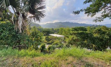 Overlooking 216 SQM Ready for Building Lot for Sale in Greenwoods Cebu City near Talamban