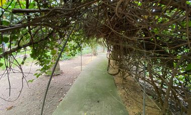 FINCA EN VENTA DE 2 HECTAREAS ÁREA URBANA ENTRE EL BARRIO LOS ALPES-13 DE JUNIO, CARTAGENA