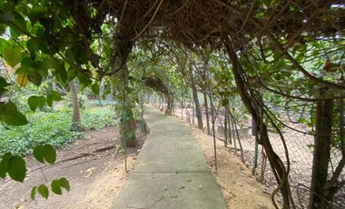 FINCA EN VENTA DE 2 HECTAREAS ÁREA URBANA ENTRE EL BARRIO LOS ALPES-13 DE JUNIO, CARTAGENA