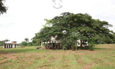 Venta de rancho ubicado en coronel traconis cerca del aeropuerto villahermosa, tabasco.