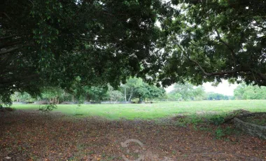 Venta de rancho ubicado en coronel traconis cerca del aeropuerto villahermosa, tabasco.