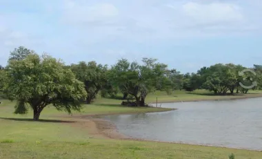 Venta de rancho ubicado en coronel traconis cerca del aeropuerto villahermosa, tabasco.