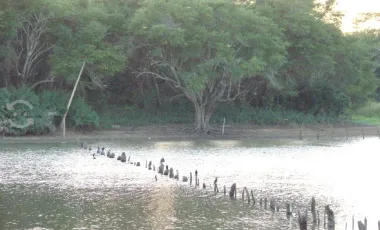 Venta de rancho ubicado en coronel traconis cerca del aeropuerto villahermosa, tabasco.